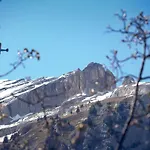 Alpina 2*