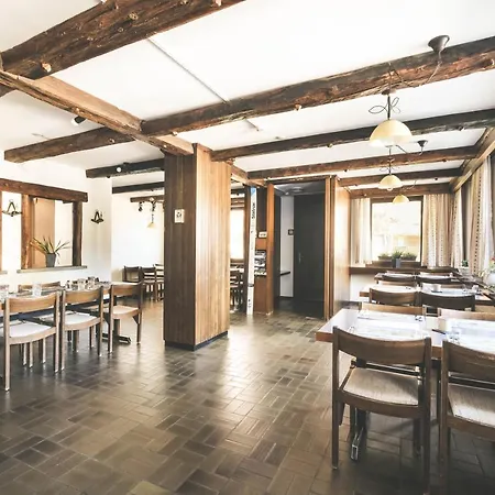 Hotel Alpina Kandersteg