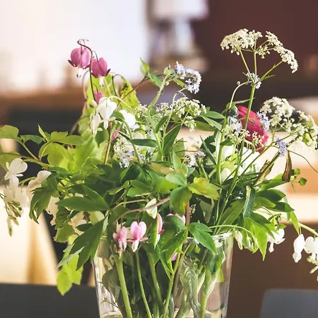 Hotel Alpina Kandersteg