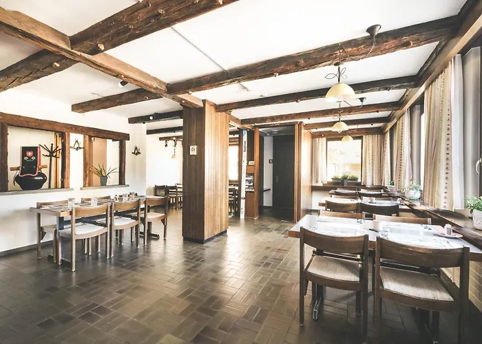 Hotel Alpina Kandersteg