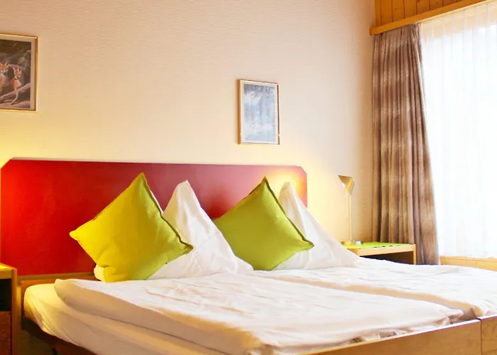 Alpina Hotel
