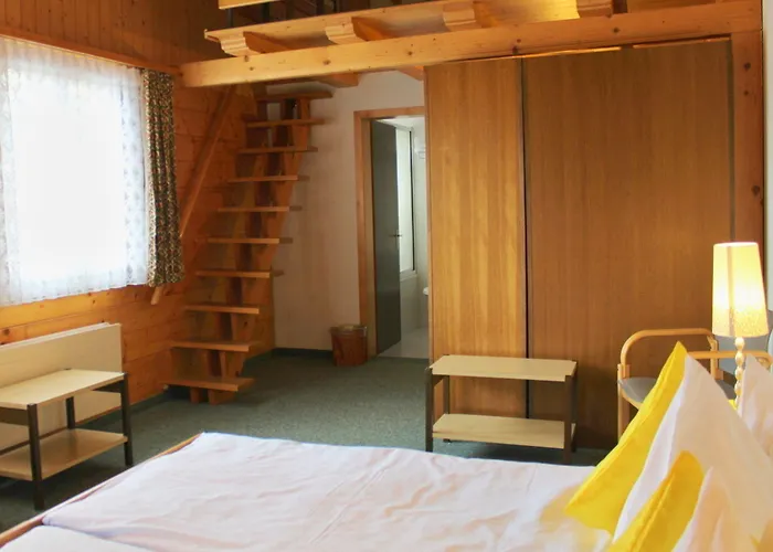 Hotel Alpina 2*