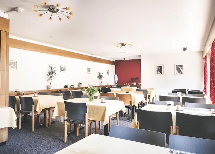 Hotel Alpina 2*