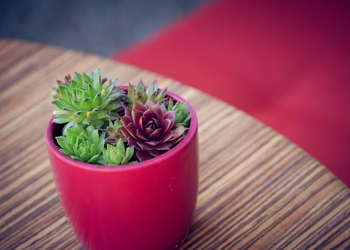 Alpina Hotel Kandersteg