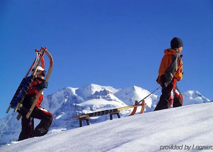 Hotel Alpina Kandersteg