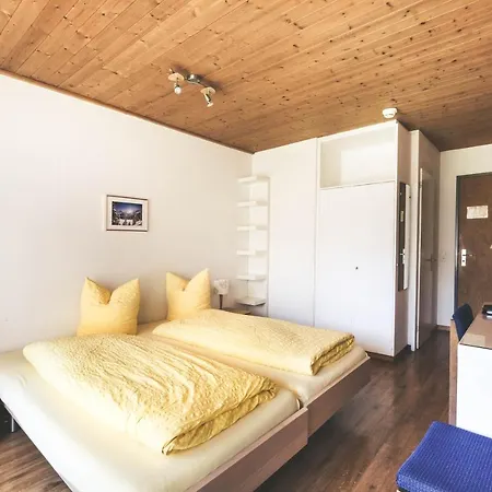 Hotel Alpina 2*