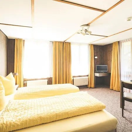 Alpina Hotel 2*