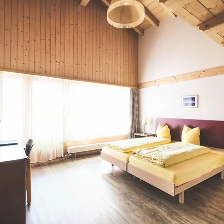 Hotel Alpina Kandersteg