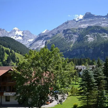 Hotel Alpina 2*