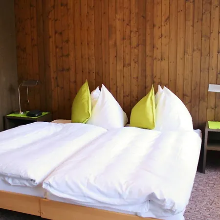 Hotel Alpina 2*