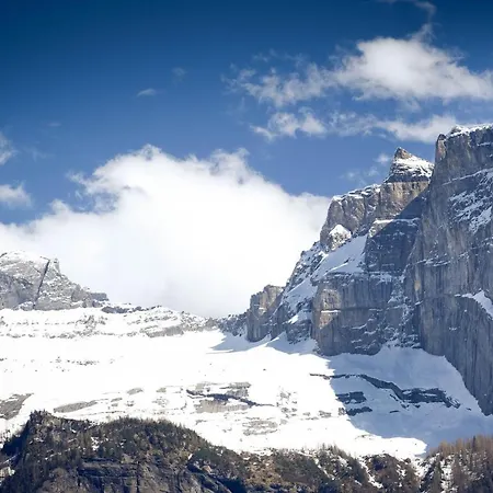 ألبينا فندق